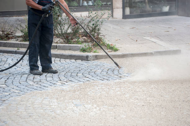Professional Pressure Washing Services in Magnolia, NC
