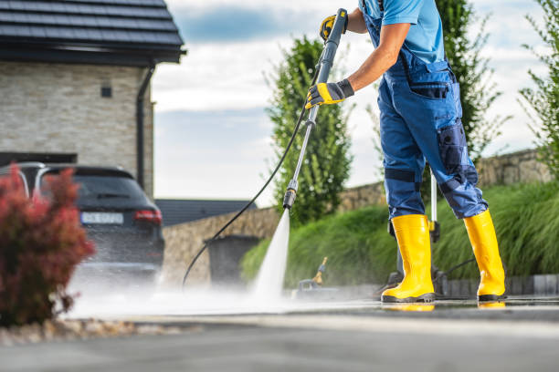 Best Roof Washing  in Magnolia, NC
